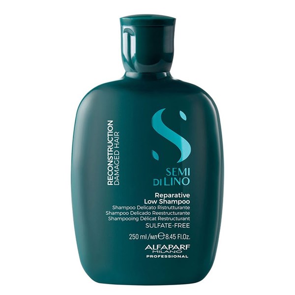 Reconstruction Reparative Low Shampoo 250ml