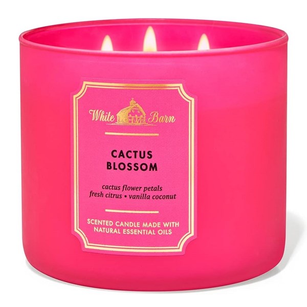 Cactus Blossom 3 Wick Scented Candle 411 g