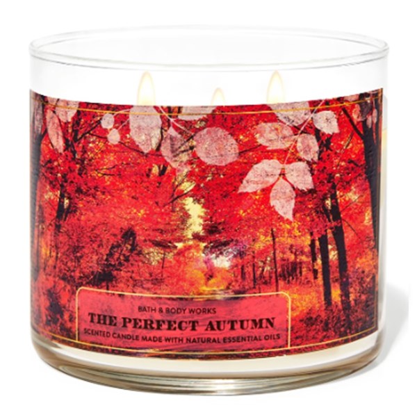 The Perfect Autumn 3 Wick Candle 411 g