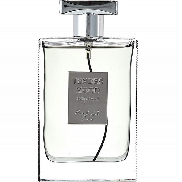 Tender Mood Pour Homme EDP 100 ml