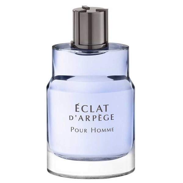 Eclat D'Arpege Pour Homme EDT 100 ml