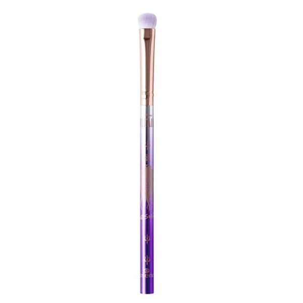 Disney Eye Brush