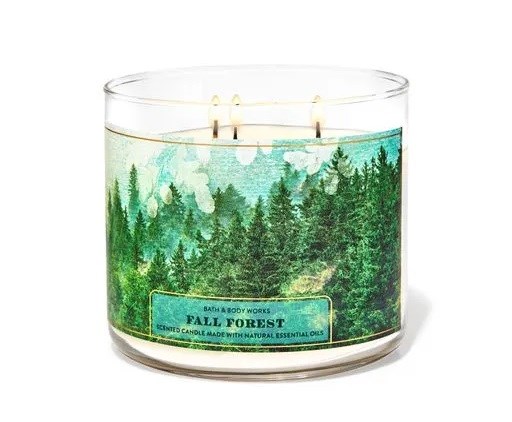 BATH&BODY WORKS CANDLE